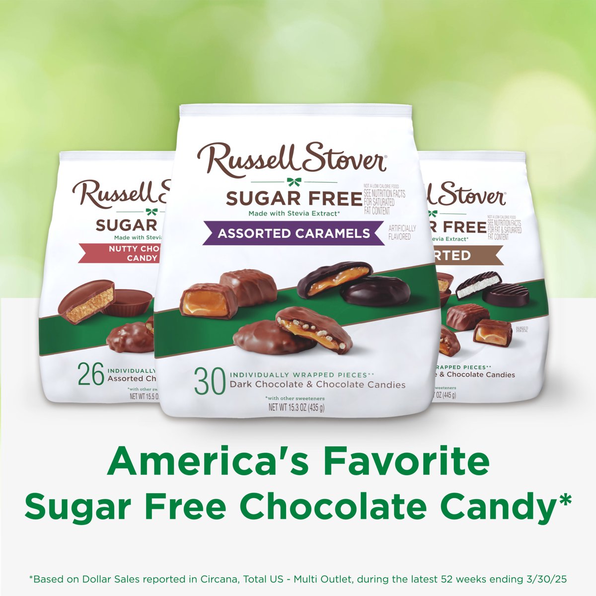 미국직구 RUSSELL STOVER Sugar 초콜릿 434g / RUSSELL STOVER Sugar Free Assorted Caramels in Chocol 5
