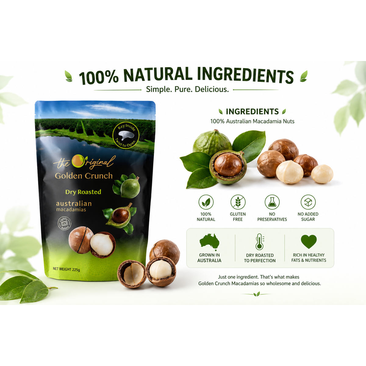미국직구 Golden Crunch Dry 견과 224g 52961 / Golden Crunch Dry Roasted Macadamia Nuts in Shell,  2