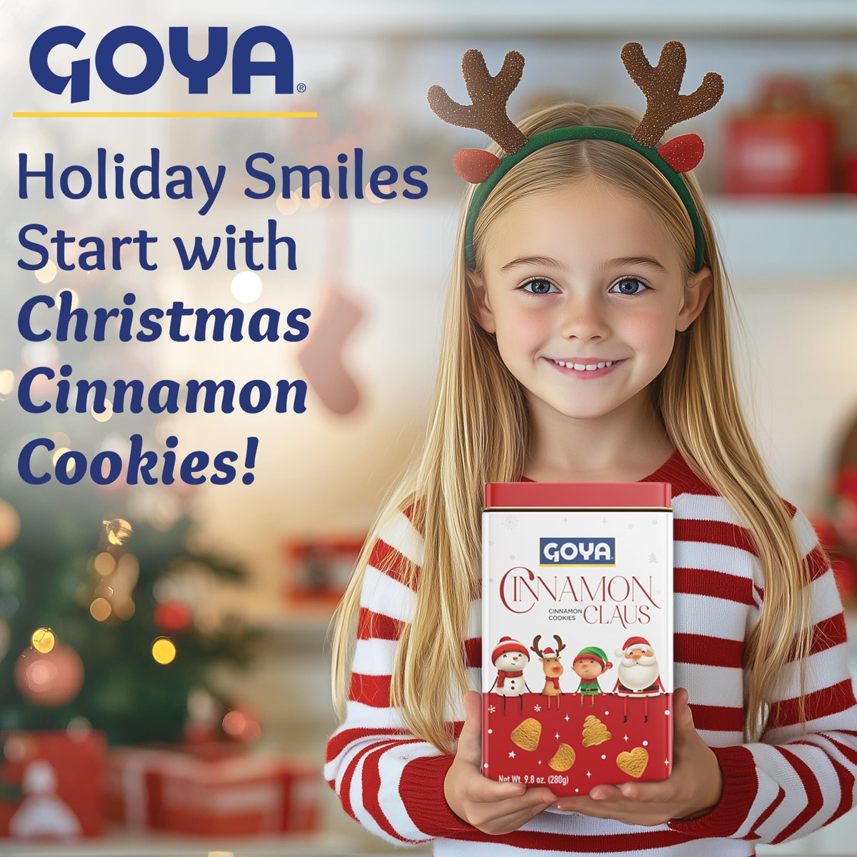 미국직구 3 Pack Goya 과자 3팩 / 3 Pack | Goya Christmas Cookie Gift Collection, Festive Cinnamon  3