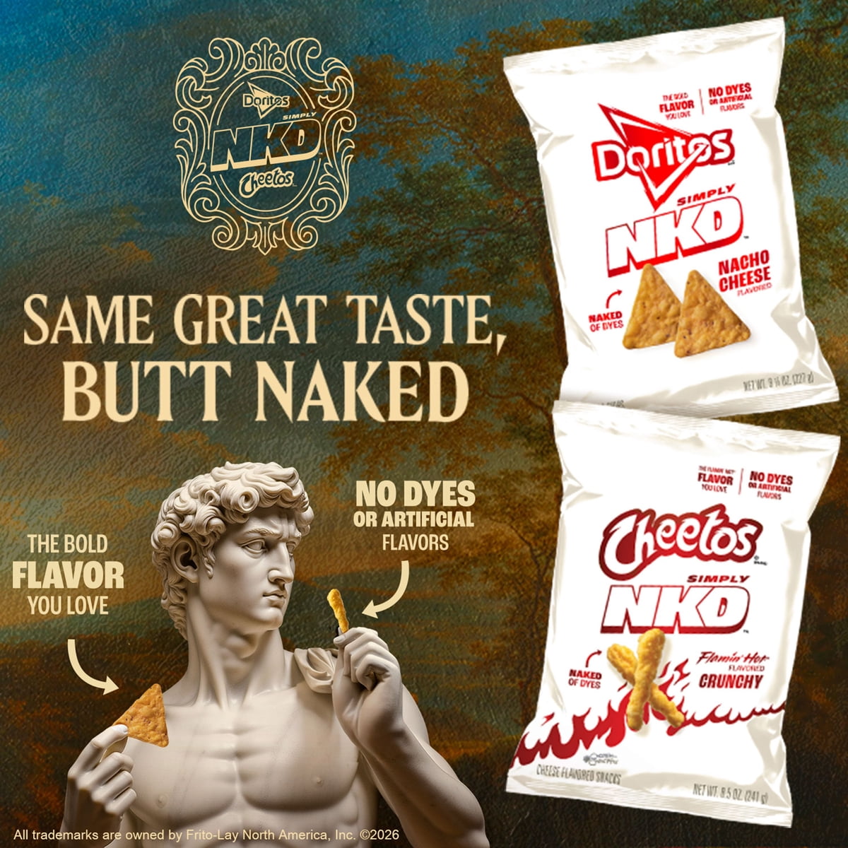 미국직구 Doritos Simply NKD 521g / Doritos Simply NKD Nacho Cheese Flavored Tortilla Chips, 52 4