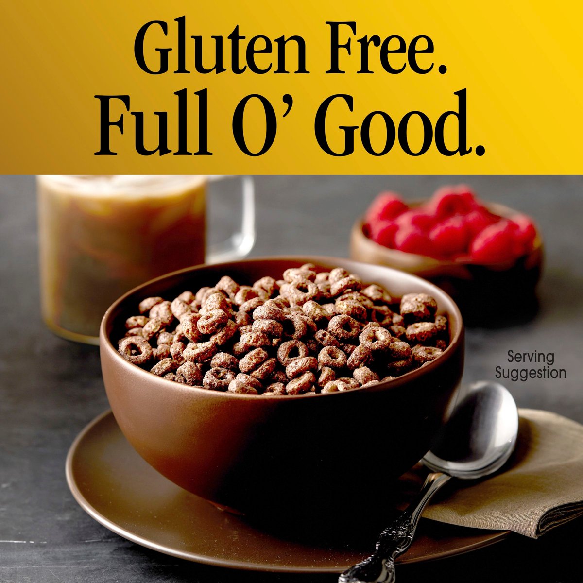 미국직구 치리오스 초콜릿 544g 2팩 / Chocolate Cheerios Heart Healthy Cereal Happy Heart Shapes Family  4