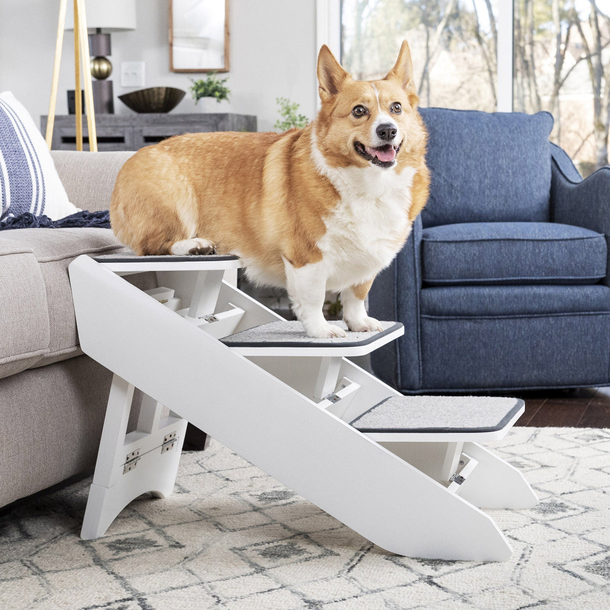 미국직구 펫용품 PetSafe CozyUp, Steps & Ramp Combo