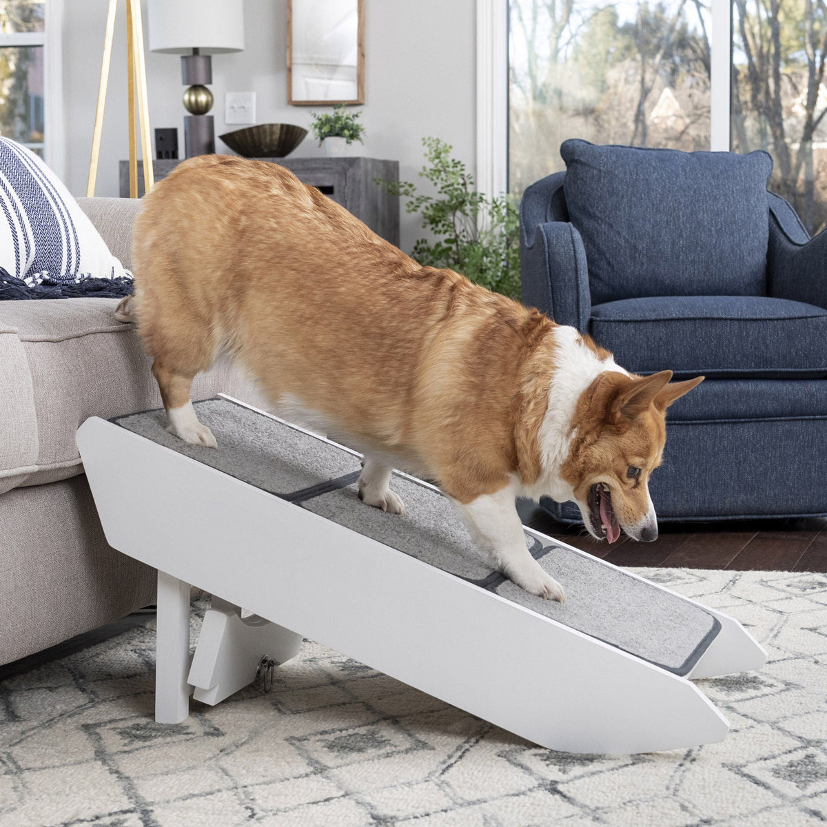 미국직구 펫용품 PetSafe CozyUp, Steps & Ramp Combo