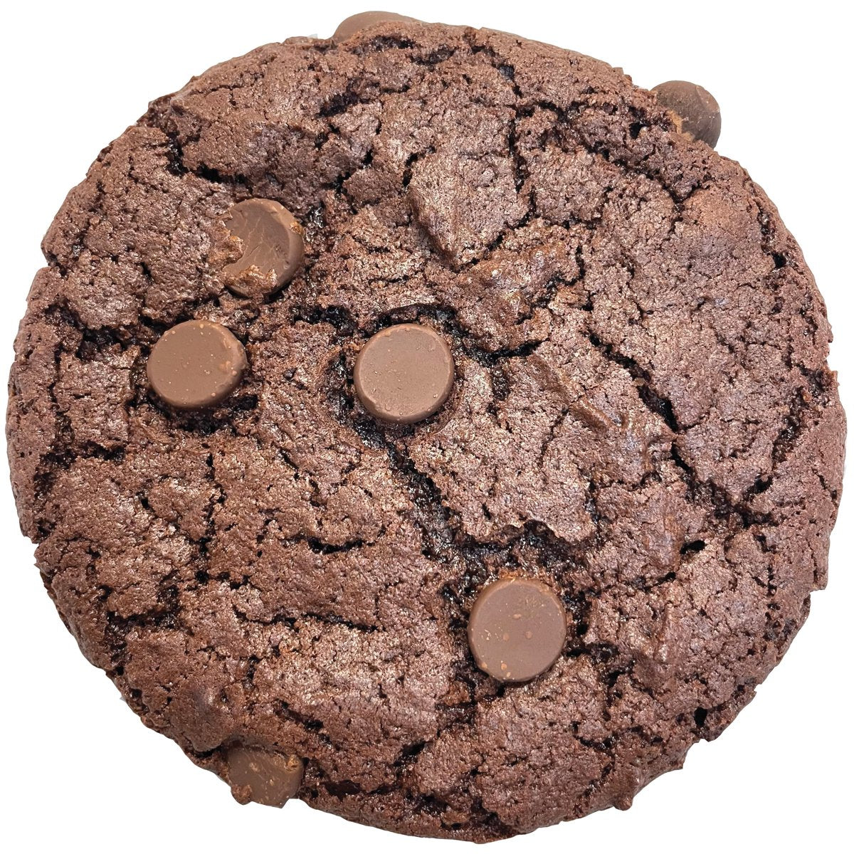 미국직구 HOORAY Double 초콜릿 / HOORAY! Double Chocolate Chip Cookie 3