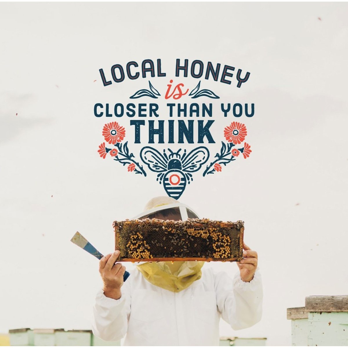 미국직구 Local Hive Florida 1.1kg / Local Hive Florida Raw and Unfiltered Honey, 1.1kg 3