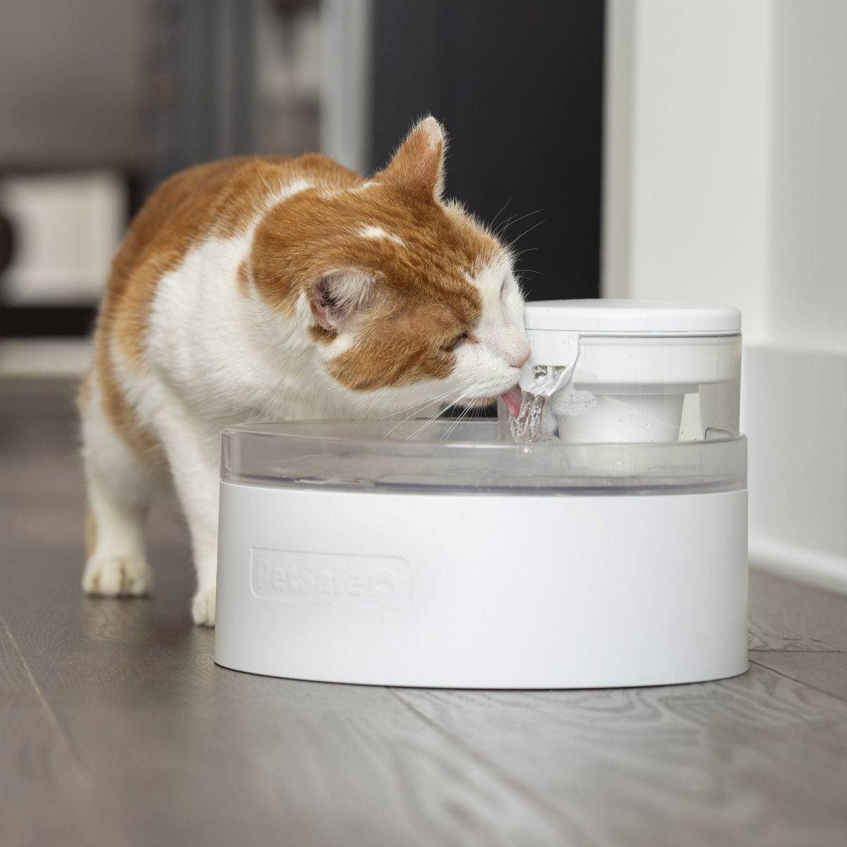 미국직구 펫용품 PetSafe Outlast 90 oz Cat Water Fountain, Bundle