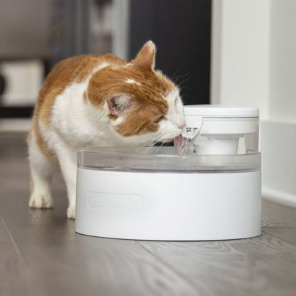미국직구 펫용품 PetSafe Outlast 90 oz Cat Water Fountain, Bundle