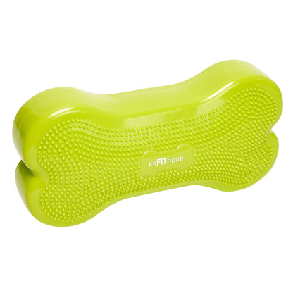 미국직구 핏포우즈 강아지 장난감 FitPaws K9 FitBone and Duo Disk Inflatable Bundle