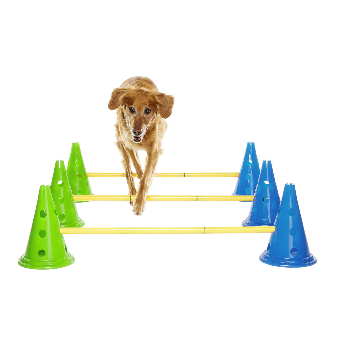 미국직구 펫용품 FitPaws CanineGym Dog Agility Kit Bundle, Cavaletti 6-count