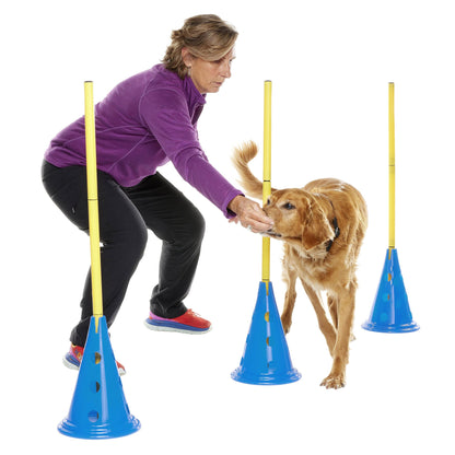미국직구 펫용품 FitPaws CanineGym Dog Agility Kit Bundle, Cavaletti 6-count
