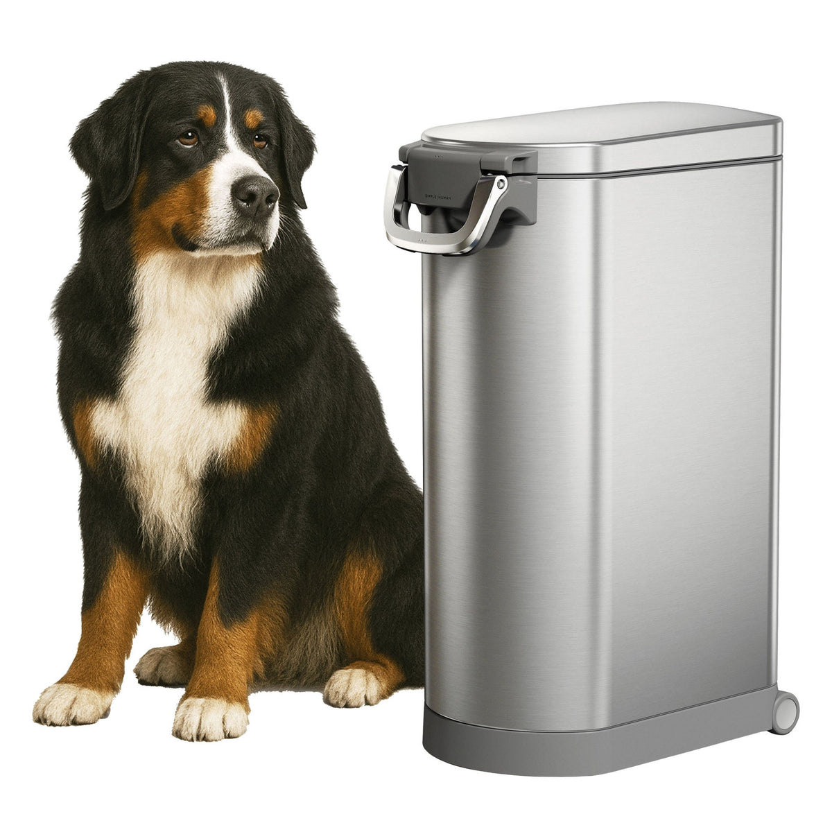 미국직구 펫용품 simplehuman X-Large Pet Food Can