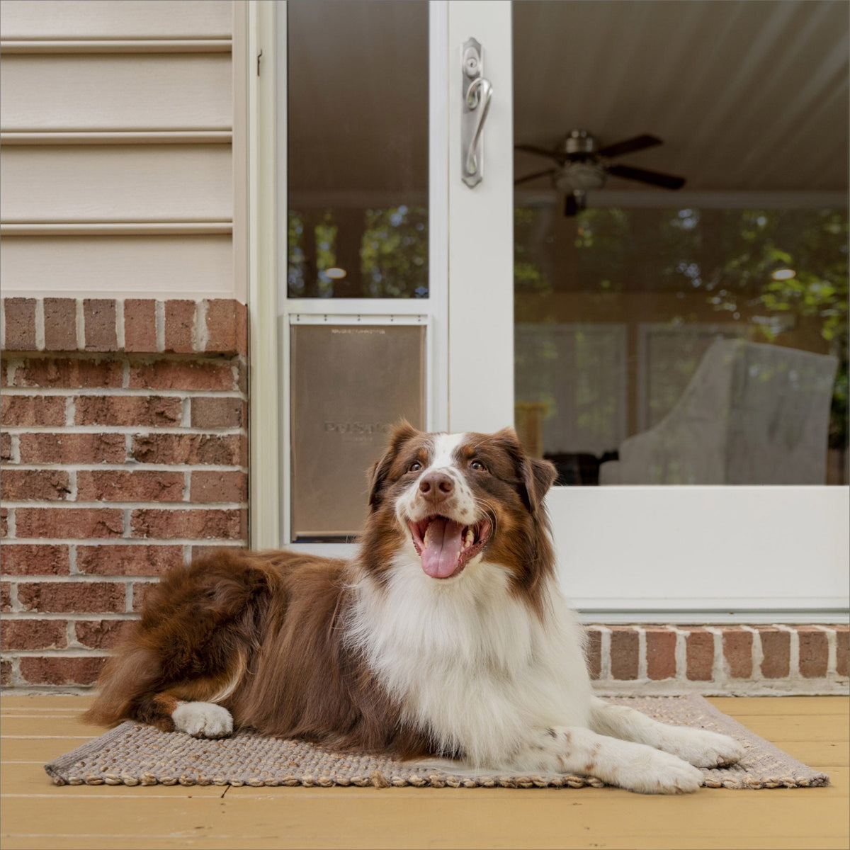 미국직구 펫용품 PetSafe Sliding Glass Pet Door, 2-Piece, Large