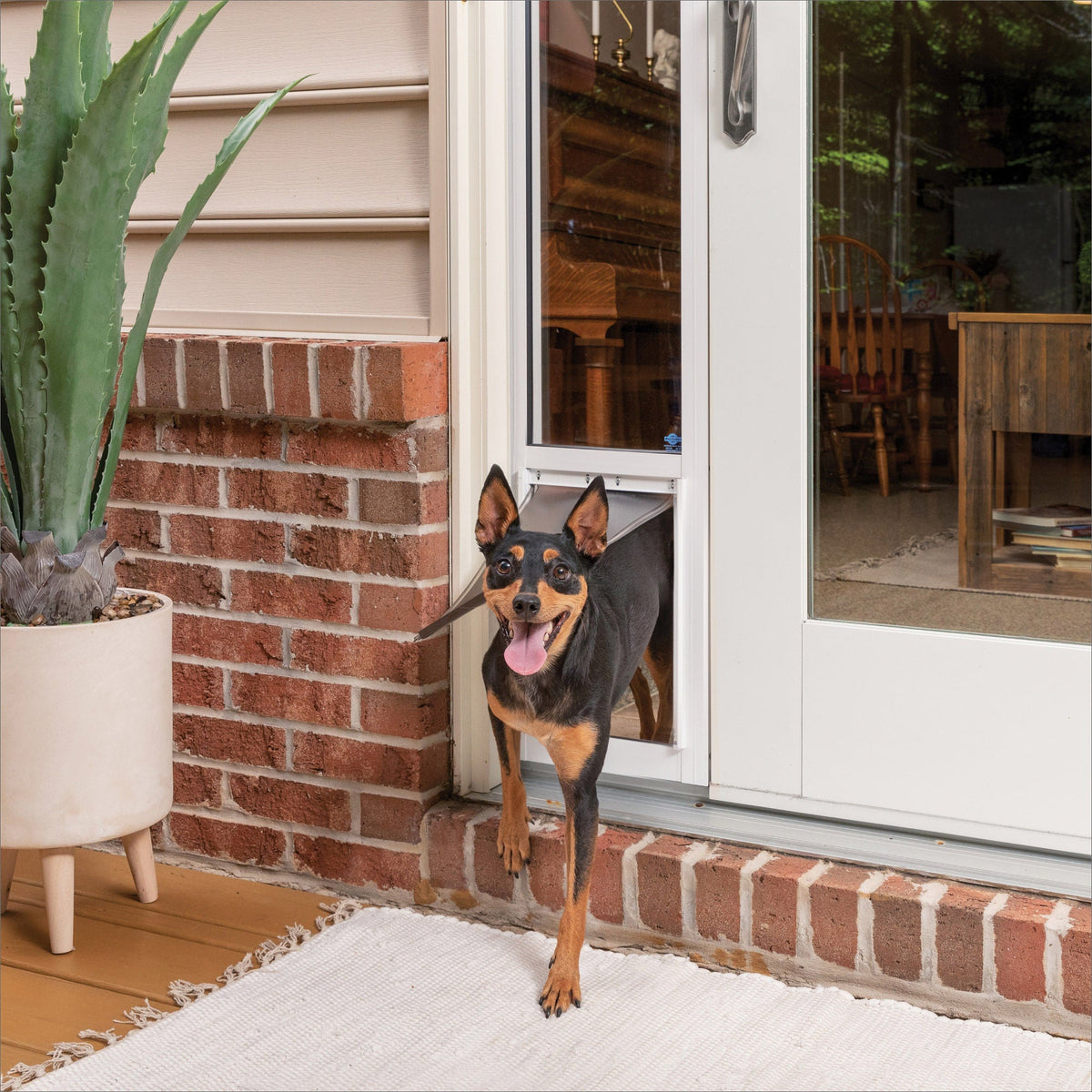 미국직구 펫용품 PetSafe Sliding Glass Pet Door, 2-Piece, Medium