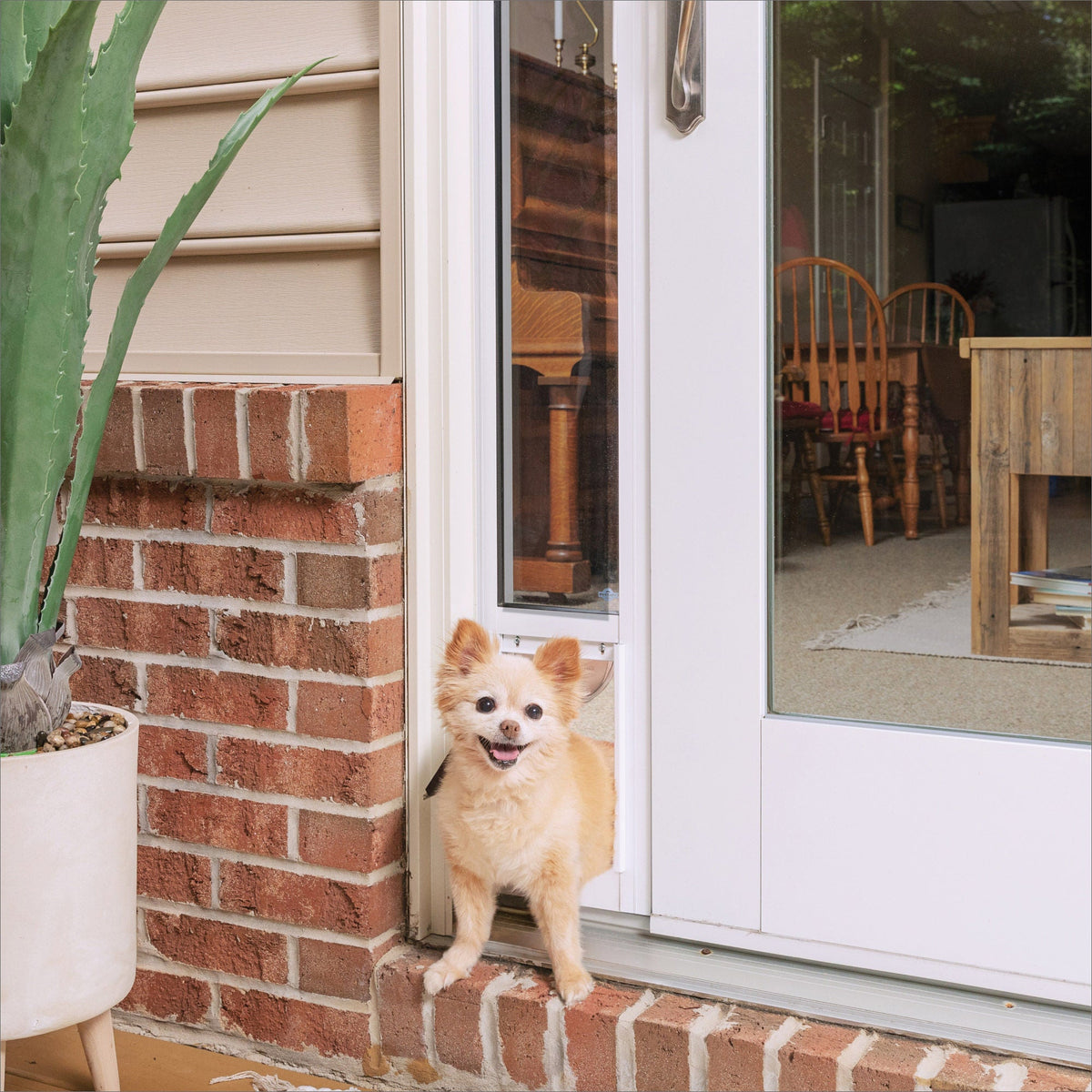 미국직구 펫용품 PetSafe Sliding Glass Pet Door, 2-Piece, Small