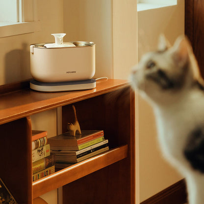 미국직구 펫용품 Petlibro Cordless Pet Water Fountain
