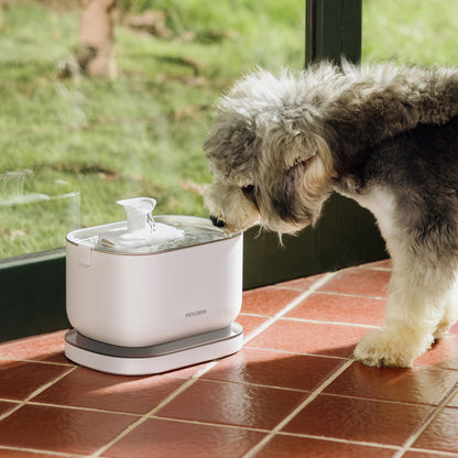 미국직구 펫용품 Petlibro Cordless Pet Water Fountain