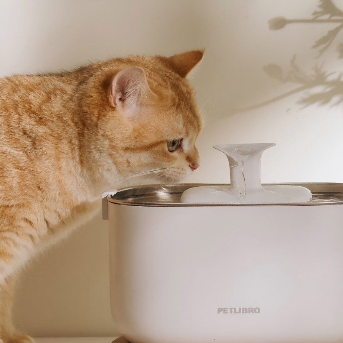 미국직구 펫용품 Petlibro Cordless Pet Water Fountain