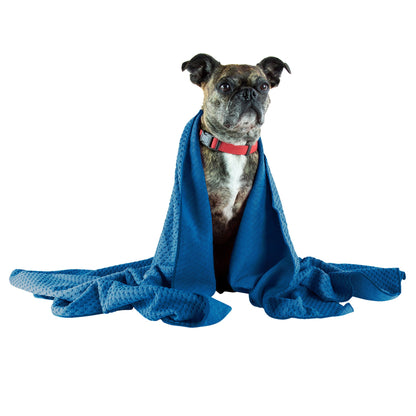 미국직구 펫용품 Nellie's Dog Towel and Waterless Dog 16 fl oz Shampoo Bundle