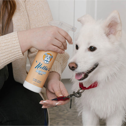 미국직구 펫용품 Nellie's Dog Towel and Waterless Dog 16 fl oz Shampoo Bundle