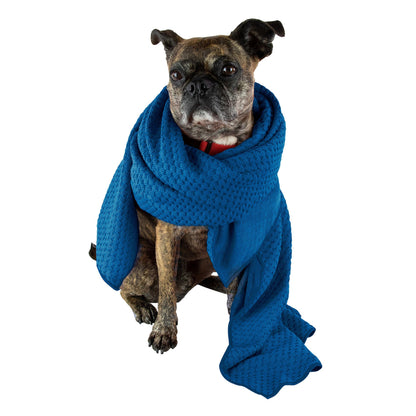 미국직구 펫용품 Nellie's Dog Towel and Waterless Dog 16 fl oz Shampoo Bundle