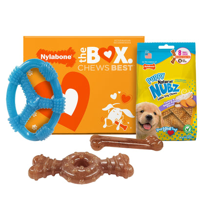 미국직구 나일라본 강아지 장난감 Nylabone Puppy Chew Toys and Small NUBZ Gift Box, 4-count
