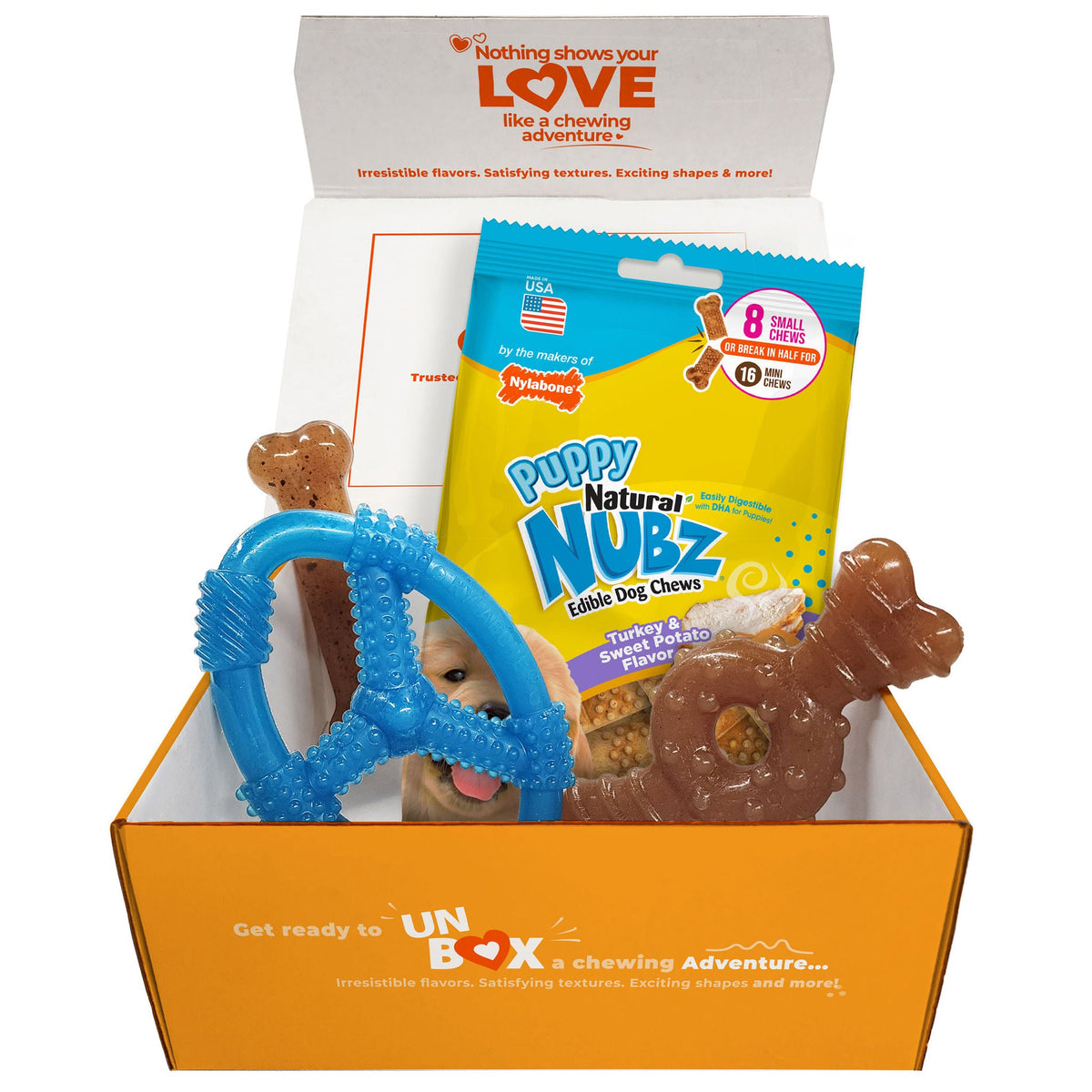미국직구 나일라본 강아지 장난감 Nylabone Puppy Chew Toys and Small NUBZ Gift Box, 4-count