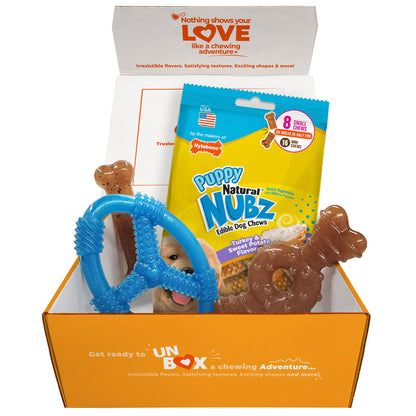 미국직구 나일라본 강아지 장난감 Nylabone Puppy Chew Toys and Small NUBZ Gift Box, 4-count