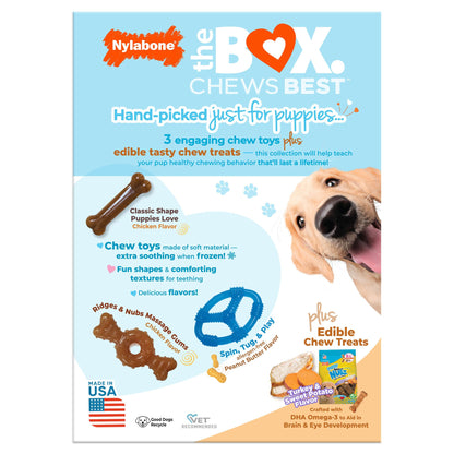 미국직구 나일라본 강아지 장난감 Nylabone Puppy Chew Toys and Small NUBZ Gift Box, 4-count