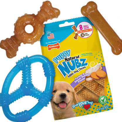 미국직구 나일라본 강아지 장난감 Nylabone Puppy Chew Toys and Small NUBZ Gift Box, 4-count