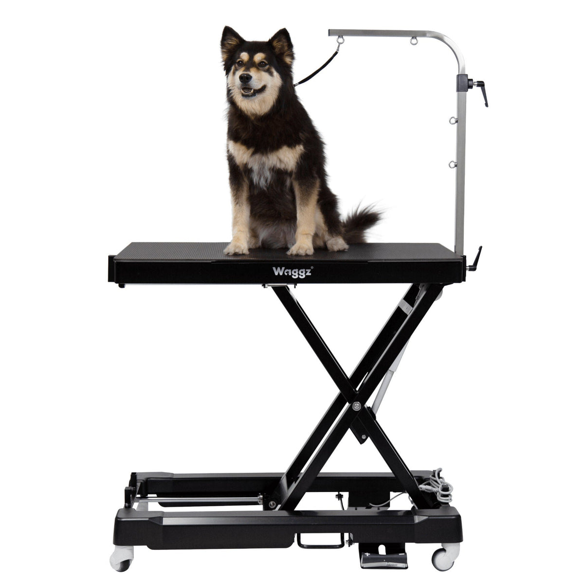 미국직구 펫용품 Waggz Roll-Light Electric Dog Grooming Table