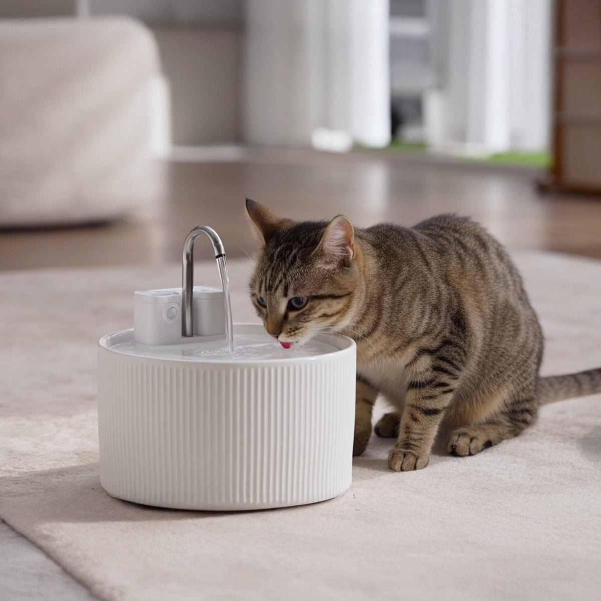 미국직구 펫용품 PawsPik Cordless Ceramic Faucet-Style Pet Water Fountain, Bundle