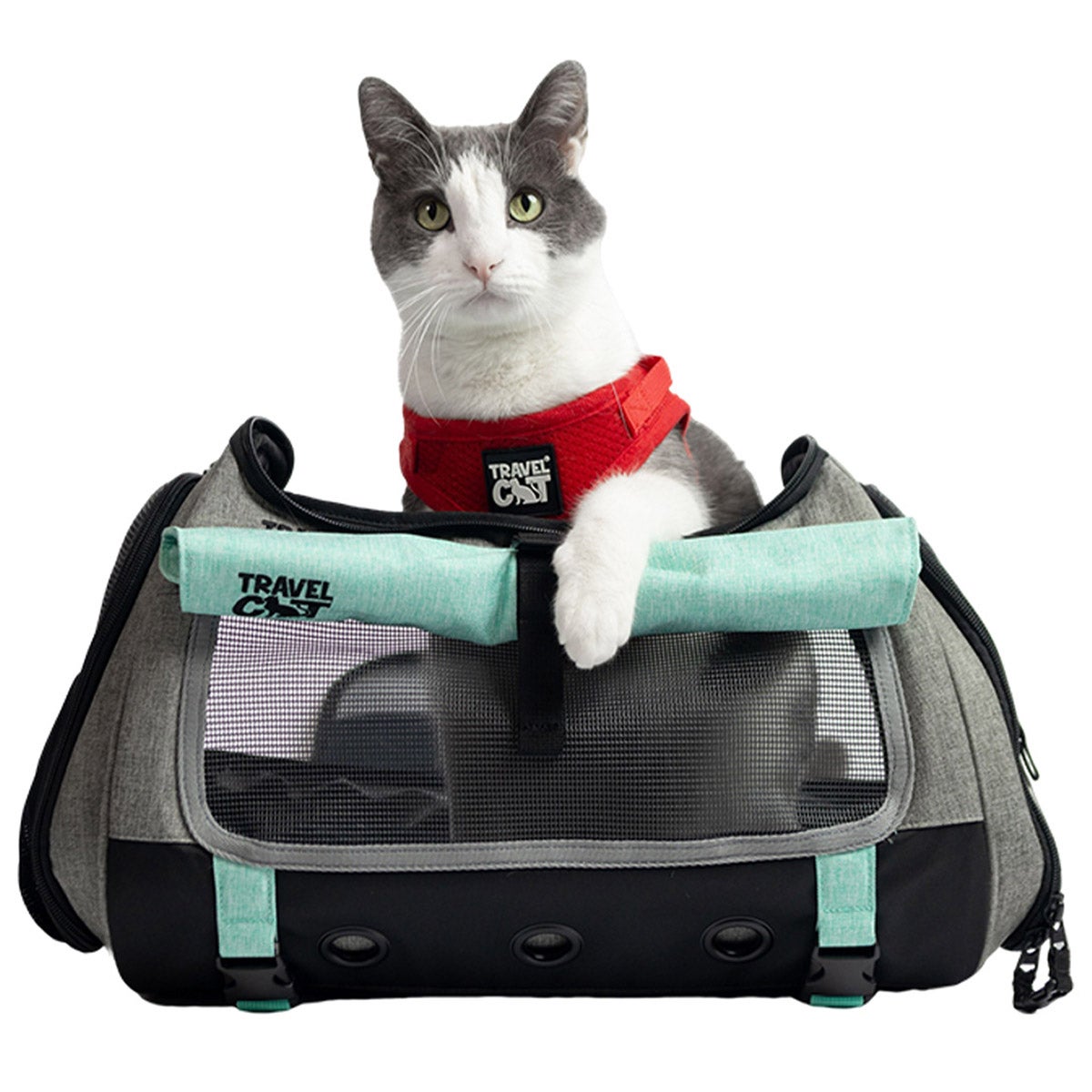 미국직구 켄넬·이동장 Travel Cat The Transpurrter Convertible Cat Carrier