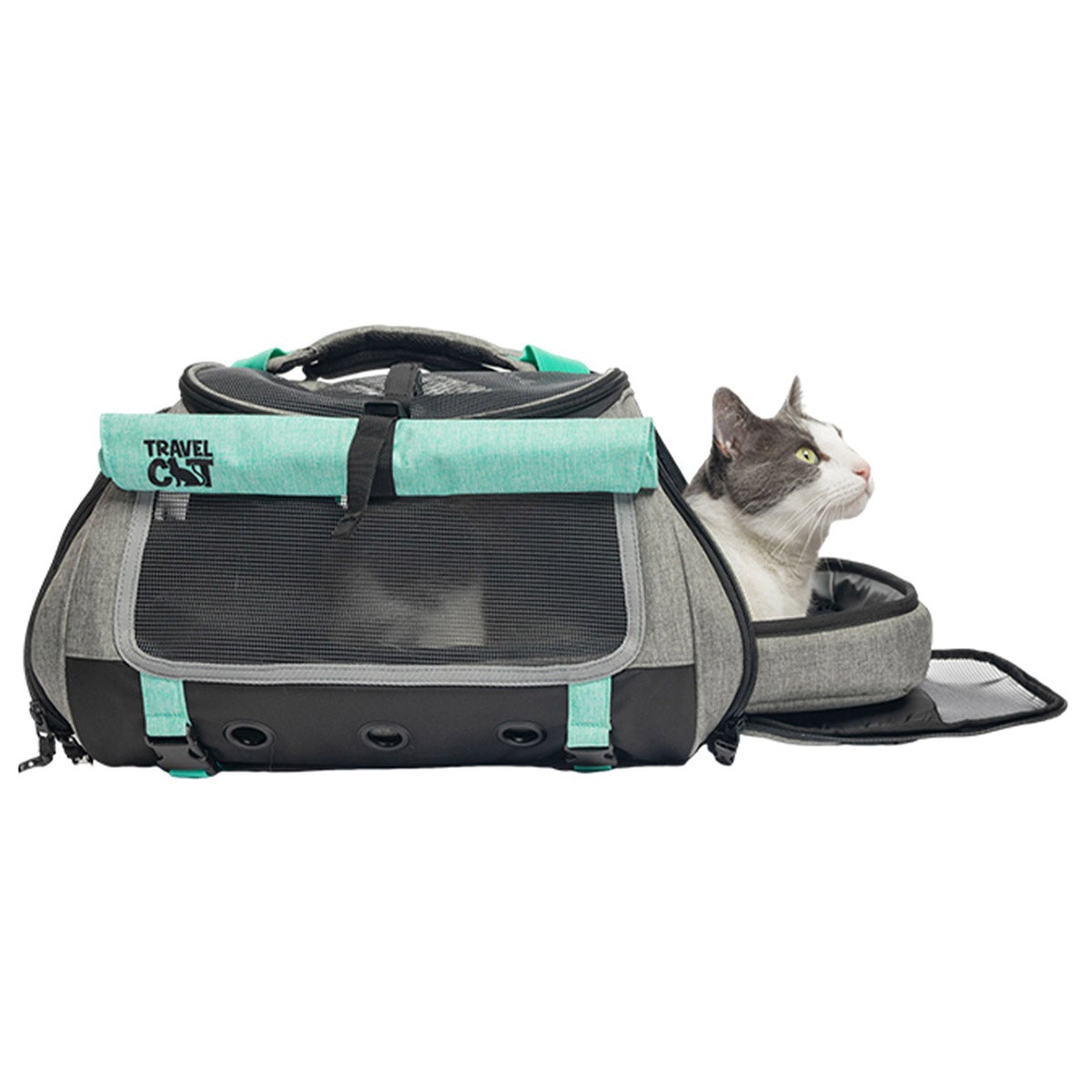 미국직구 켄넬·이동장 Travel Cat The Transpurrter Convertible Cat Carrier