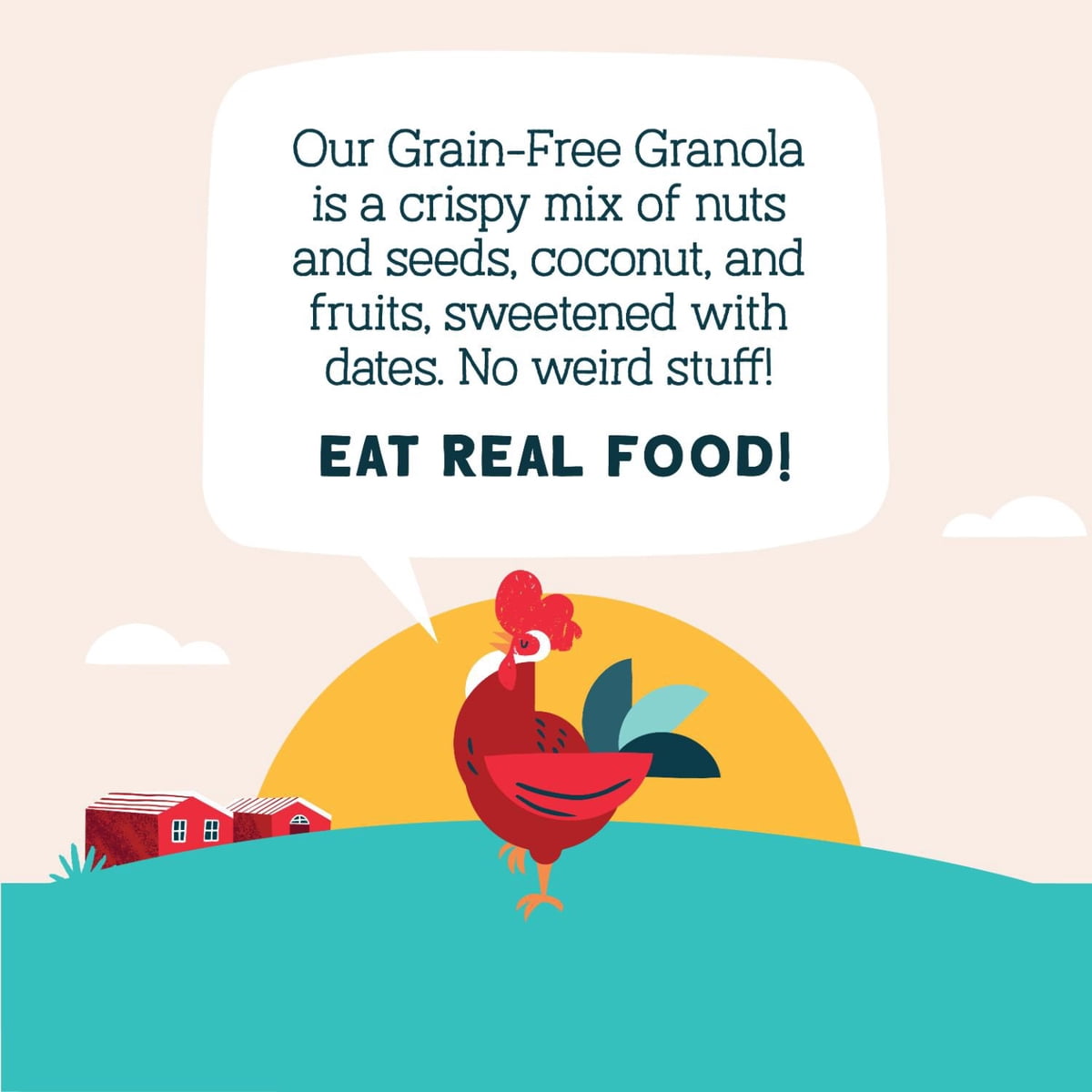 미국직구 Seven Sundays Keto 567g / Seven Sundays Keto Rise and Shine Granola Cereal, 567g 3
