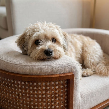 미국직구 강아지 방석·침대 Gracie Rattan Upholstered Pet Bed