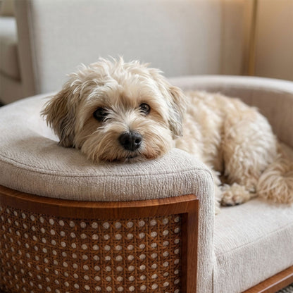 미국직구 강아지 방석·침대 Gracie Rattan Upholstered Pet Bed