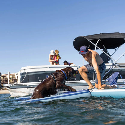 미국직구 펫용품 Dog Catcher! Large Inflatable Dog Ramp
