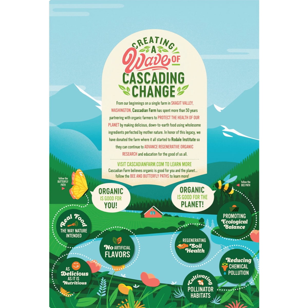 미국직구 Cascadian Farm 822g / Cascadian Farm Organic Mixed Berry Cereal, 822g 3