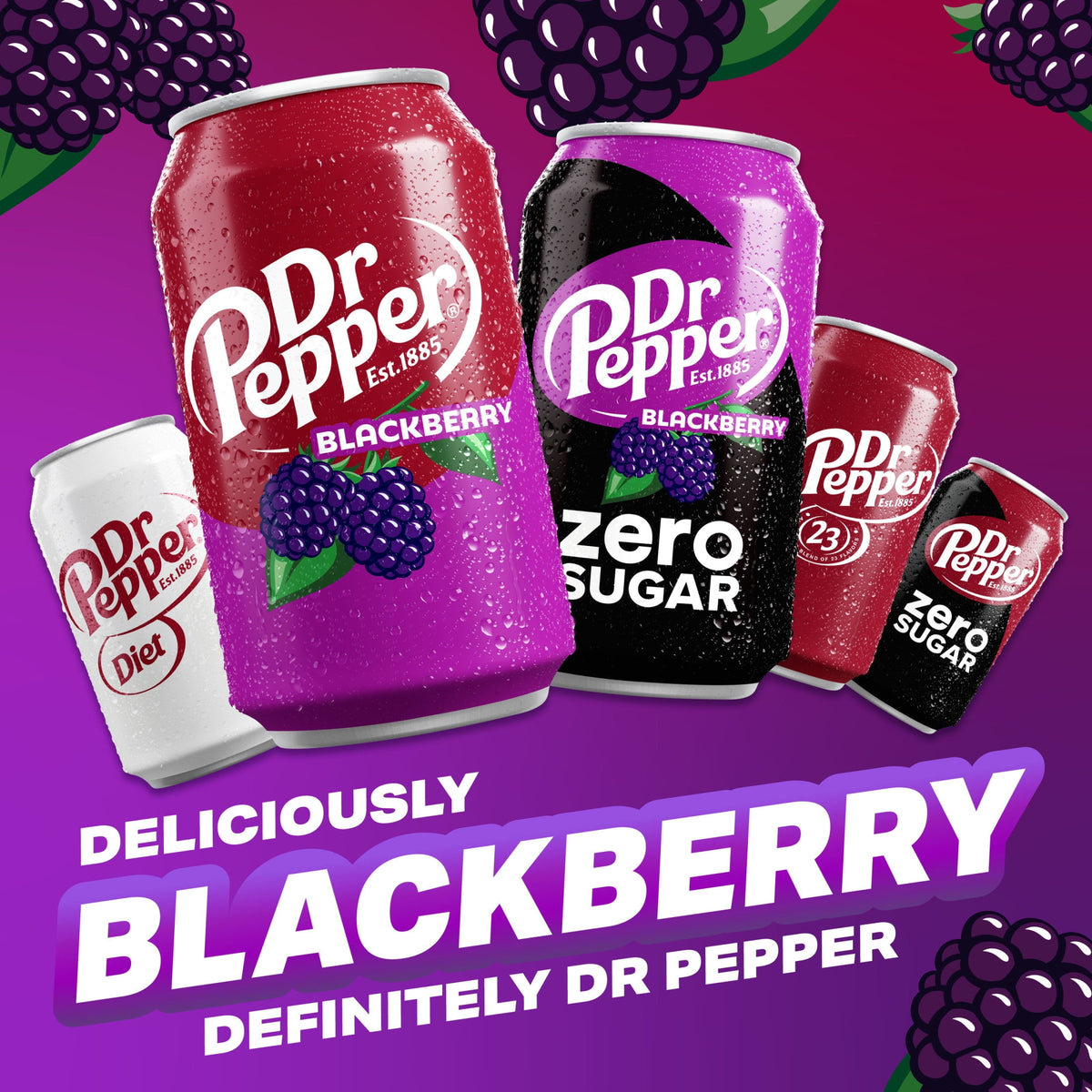 미국직구 닥터페퍼 Blackberry Soda Pop, 12 fl oz, 12 Pack Cans