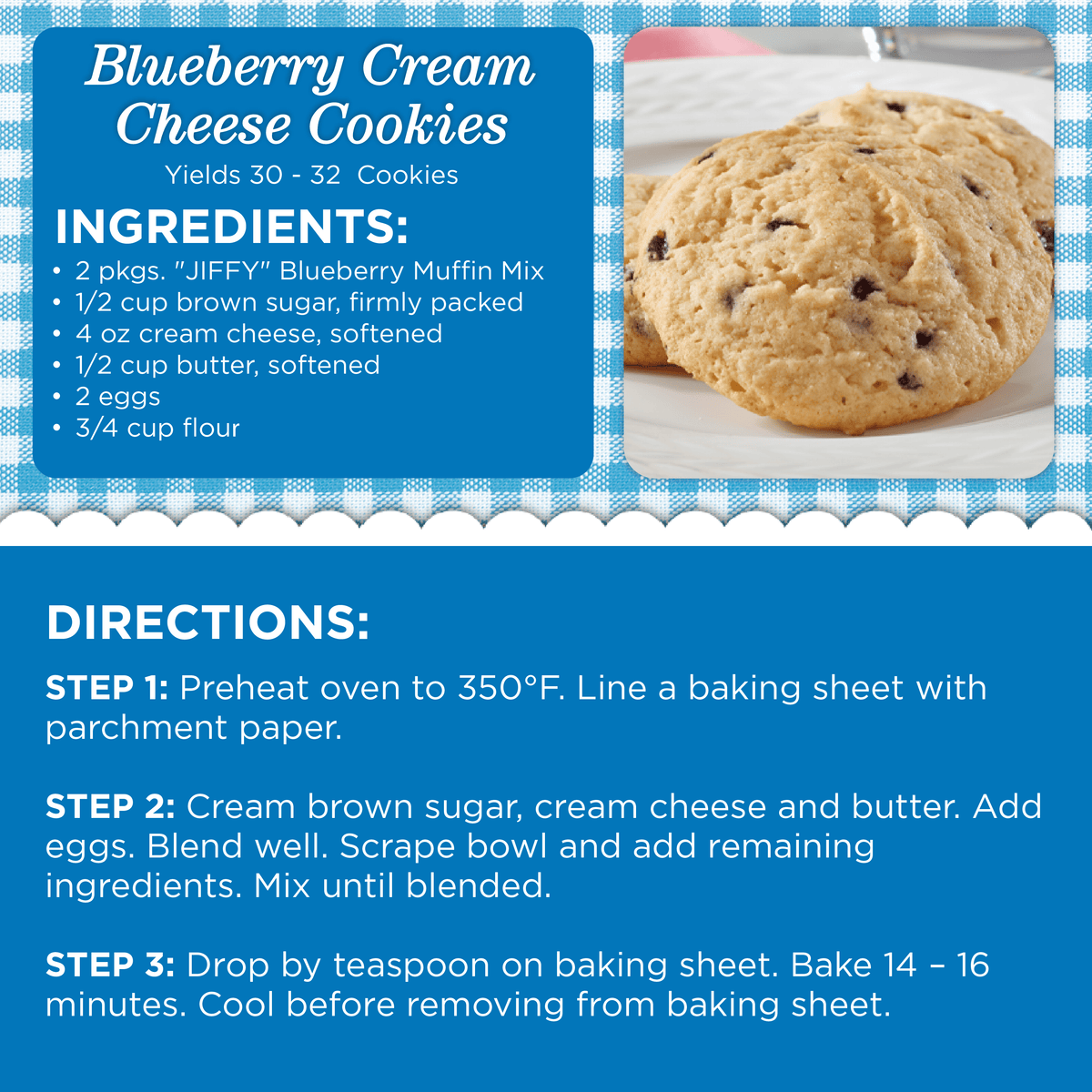 미국직구 지피 "" Blueberry Muffin Mix, 7 oz Box