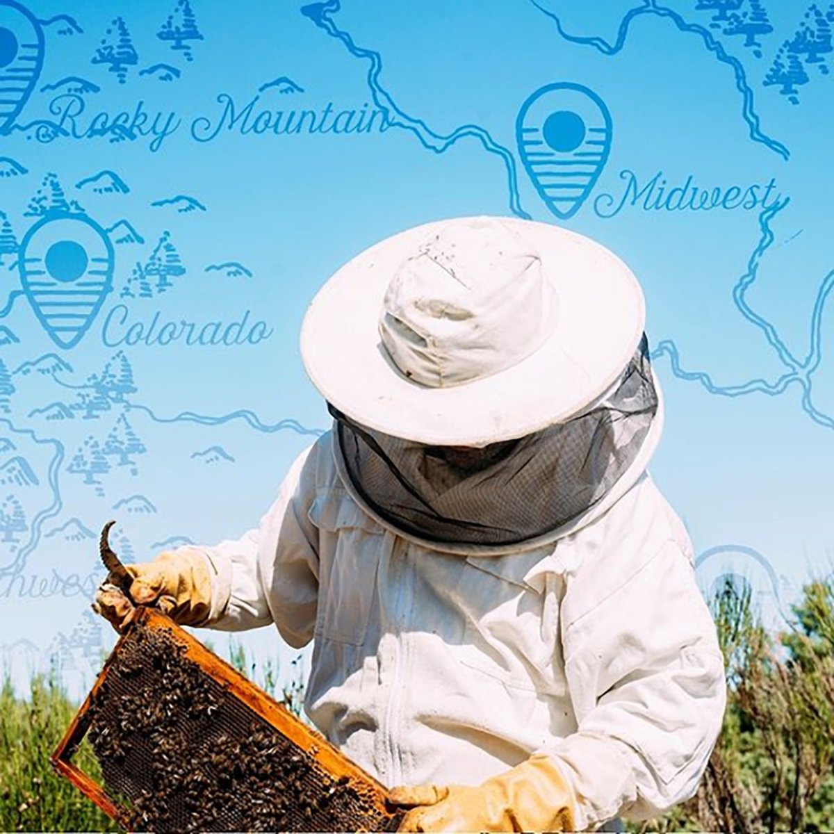 미국직구 Local Hive Florida 1.1kg / Local Hive Florida Raw and Unfiltered Honey, 1.1kg 4