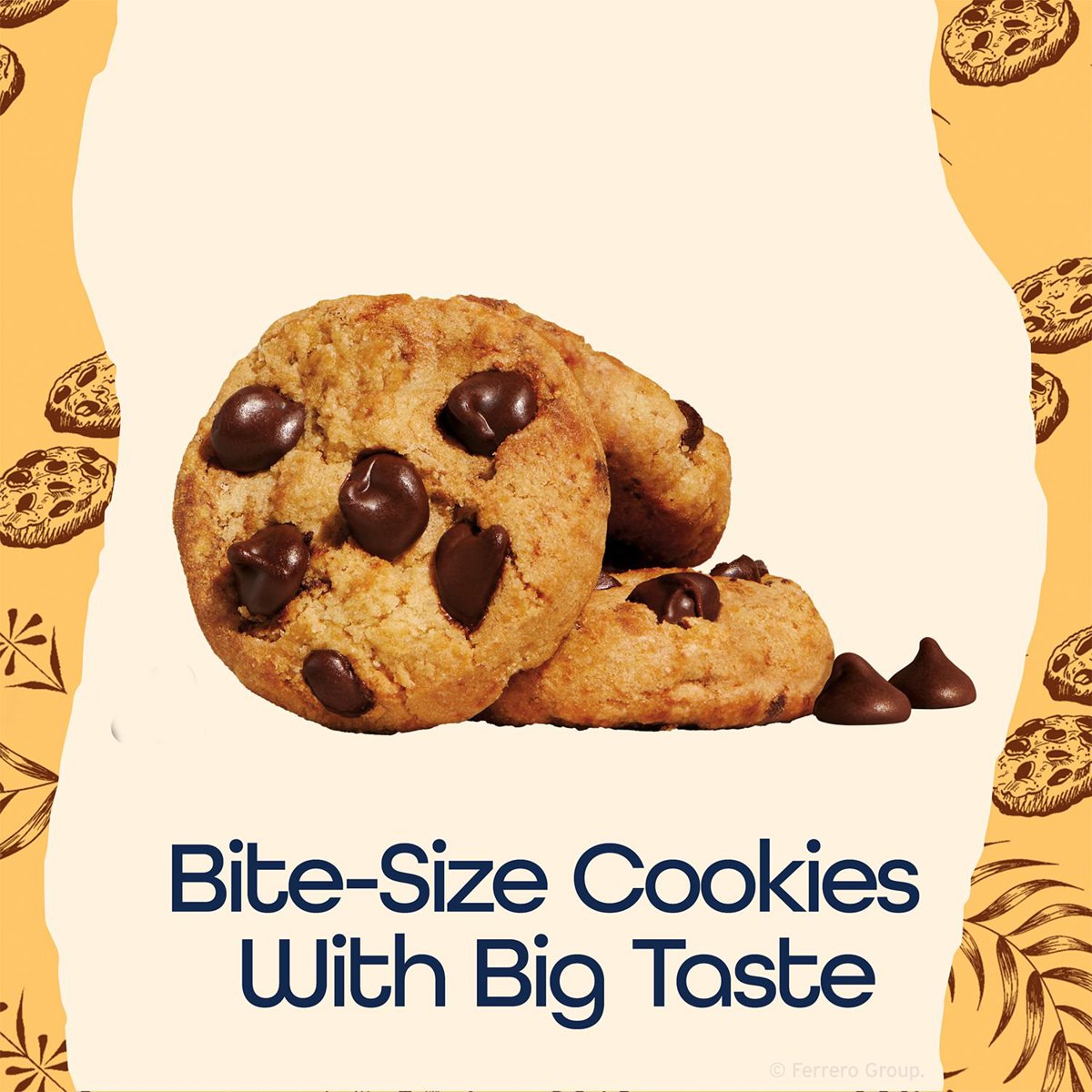 미국직구 Famous Amos 초콜릿 57g / Famous Amos Chocolate Chip Cookies, 57g, 42 pk. 5