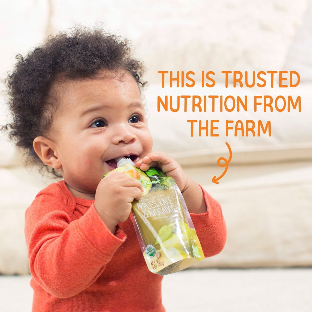 미국직구 HappyBABY Organics Clearly 113g 12팩 / HappyBABY Organics Clearly Crafted Fruit & Oat  3