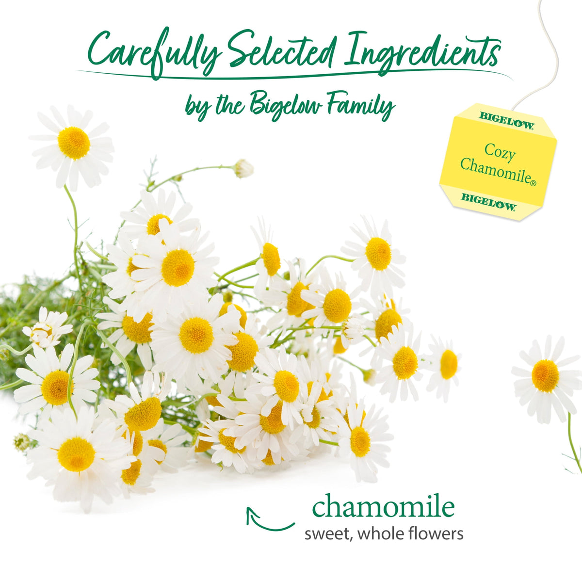 미국직구 비글로우 Cozy Chamomile, Herbal Tea Bags, 20 Count