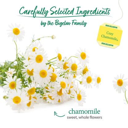 미국직구 비글로우 Cozy Chamomile, Herbal Tea Bags, 20 Count