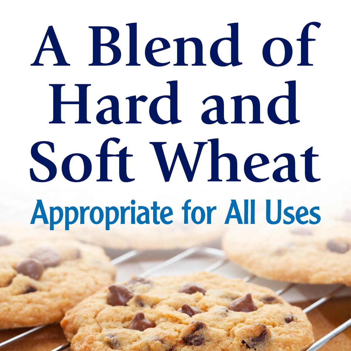 미국직구 필스버리 Best Bleached All Purpose Flour, 5 lb Bag