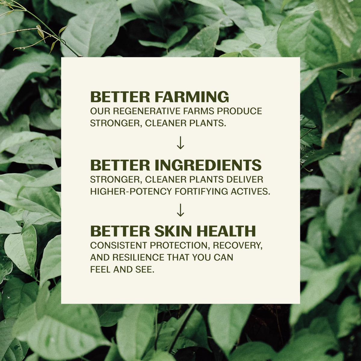 Thrive Natural Care 선크림 SPF50 6