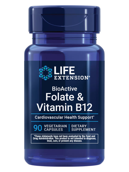 Life Extension 1