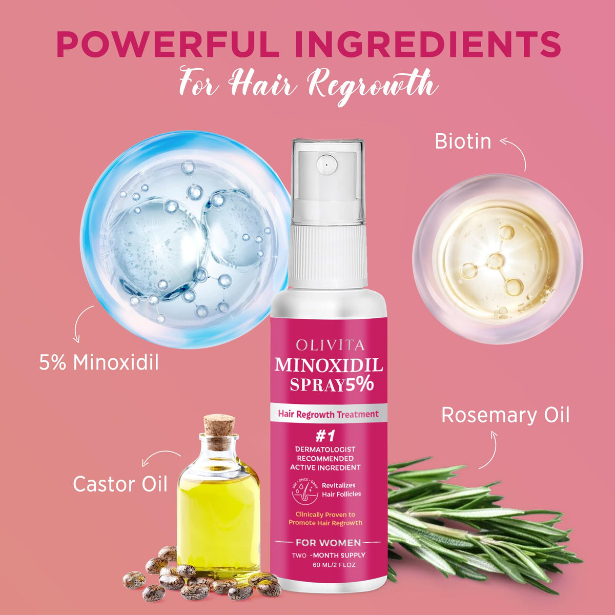 OLIVITA 6