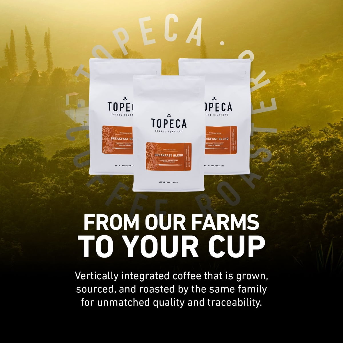 미국직구 Topeca 커피 750g / Topeca Coffee Medium Roast Whole Bean, Breakfast Blend, 750g 6